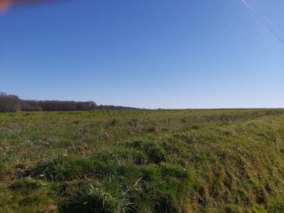 Le Moulin de Saint-Amand