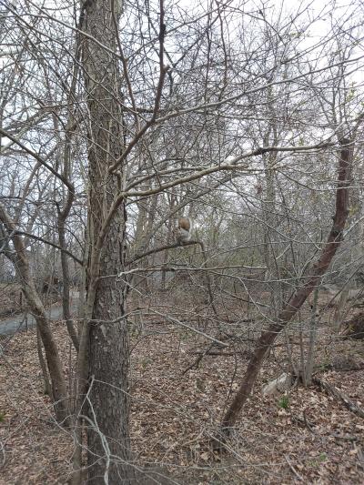 Une balade digestive sur la High Line et nous voici à Hudson Yard