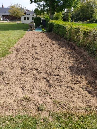 C'est le retour du potager