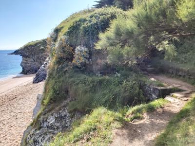 1er jour et Guillaume arrive