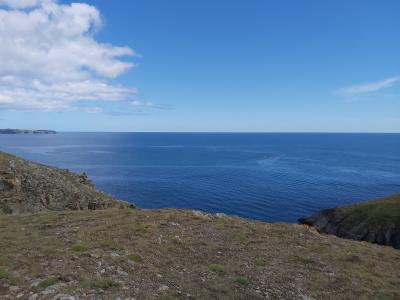 1er jour et Guillaume arrive