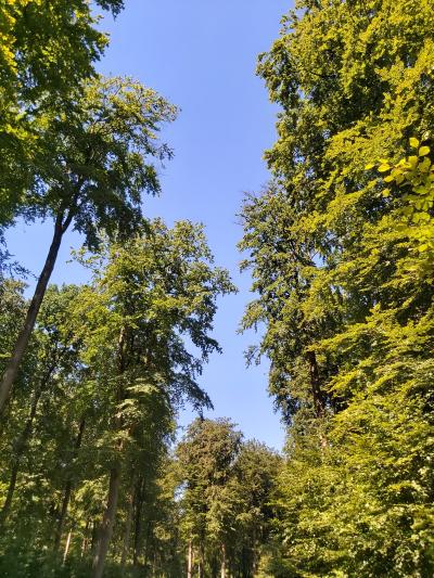 Randonnée avec Mélanie