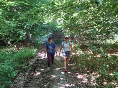 Randonnée avec Mélanie