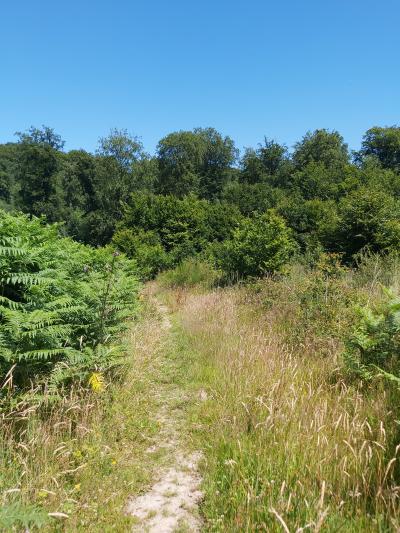 Randonnée avec Mélanie