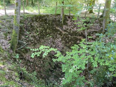 Randonnée avec Mélanie