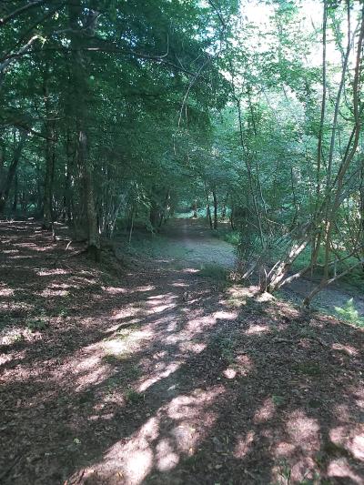 Et si nous glandions un peu. Mais un peu car après balade