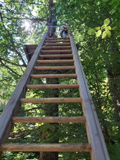 Accrobranche avec Ambre et Nathan