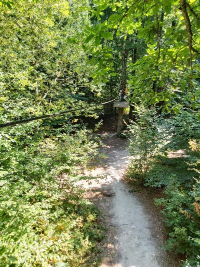 Accrobranche avec Ambre et Nathan