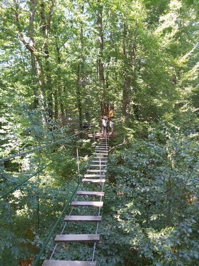 Accrobranche avec Ambre et Nathan