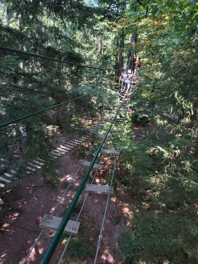 Accrobranche avec Ambre et Nathan
