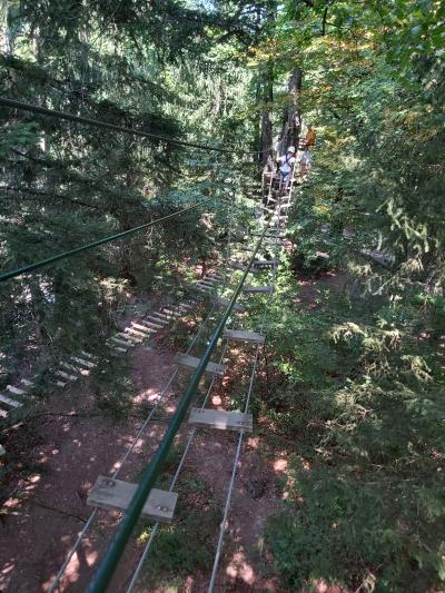 Accrobranche avec Ambre et Nathan