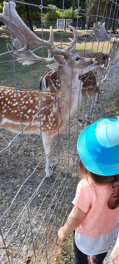Accrobranche avec Ambre et Nathan