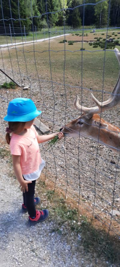 Accrobranche avec Ambre et Nathan