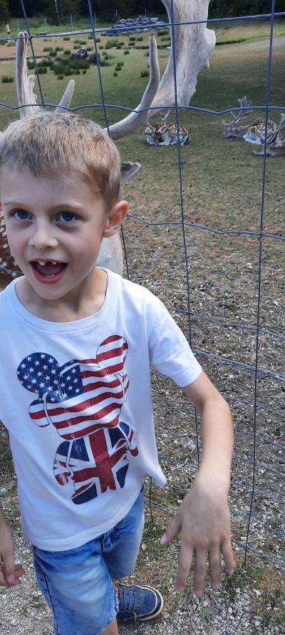 Accrobranche avec Ambre et Nathan