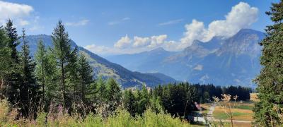Luge d'été et randonnée aux Carroz d'Arâches