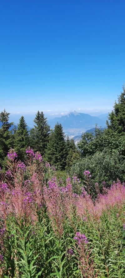 Luge d'été et randonnée aux Carroz d'Arâches