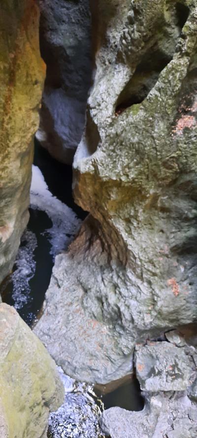 Visite des gorges du fier