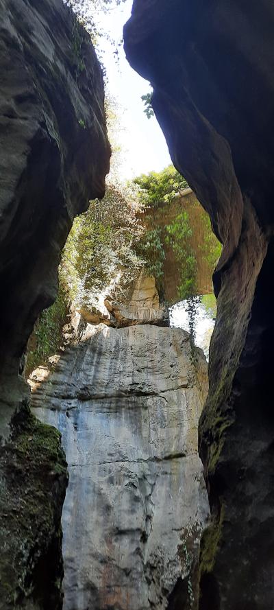 Visite des gorges du fier