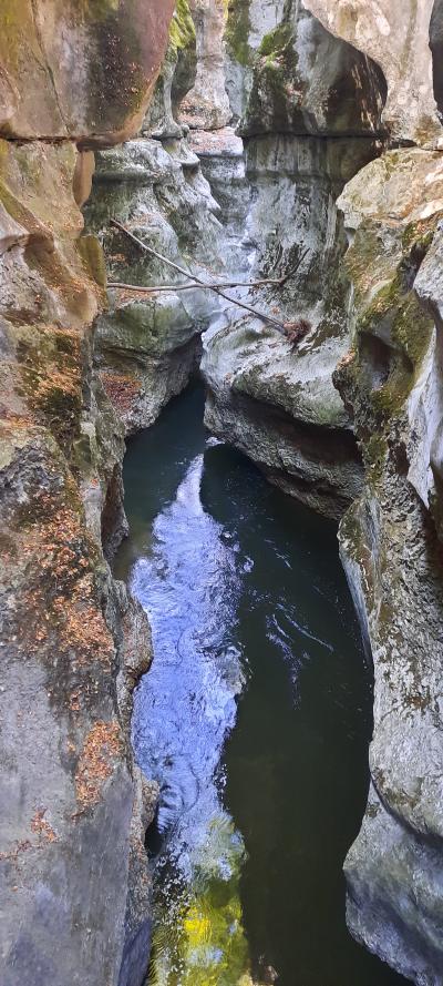 Visite des gorges du fier