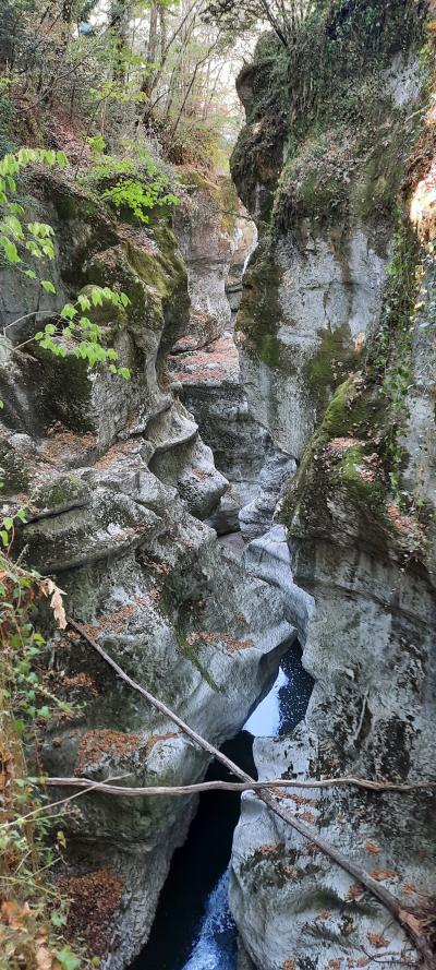 Visite des gorges du fier