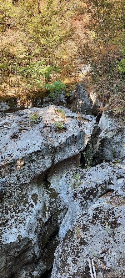 Visite des gorges du fier