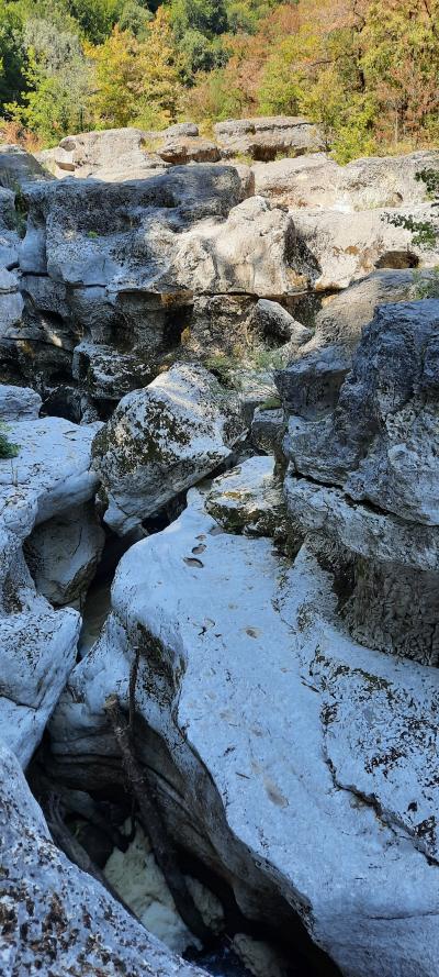 Visite des gorges du fier