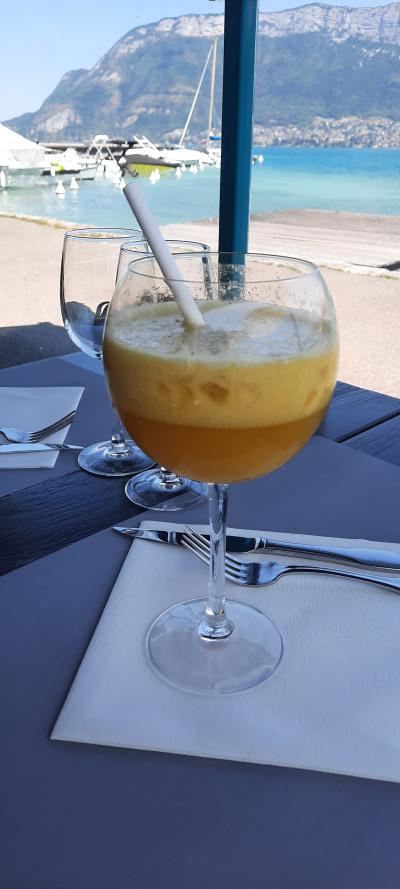 Repas et baignade au Lac d'Annecy