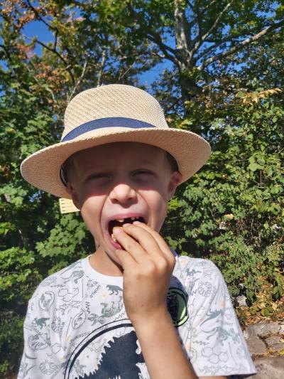 Randonnée avec vue sur le lac d'Annecy