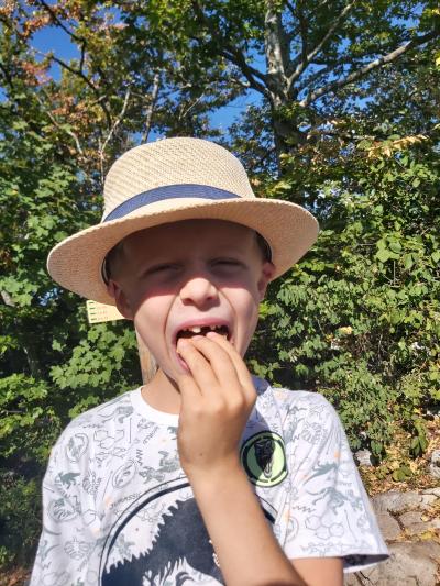 Randonnée avec vue sur le lac d'Annecy