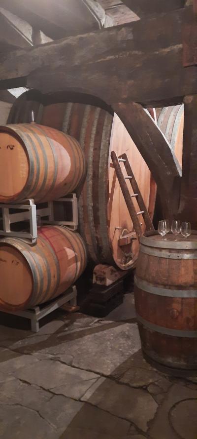 Tonon les bains, Yvoire et visite à la cave pour les filles et plage pour les enfants