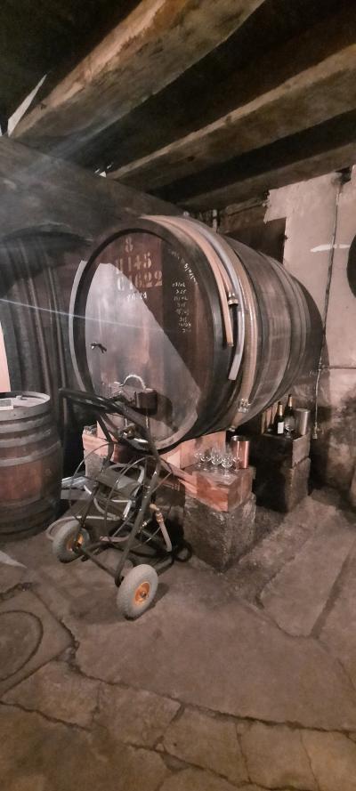 Tonon les bains, Yvoire et visite à la cave pour les filles et plage pour les enfants