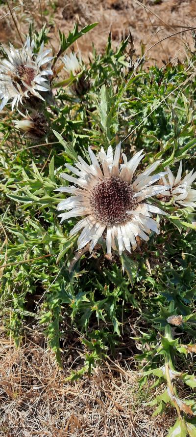 Randonnée en famille