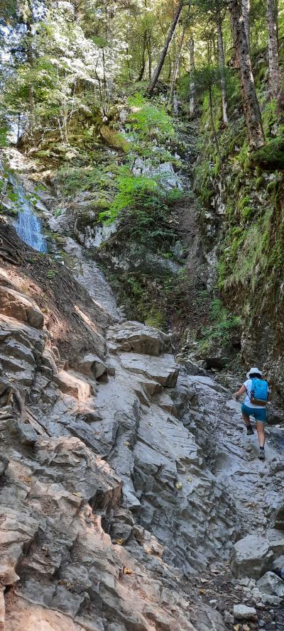 Visite de La Roche-sur-Foron et randonnée La boucle des cascades