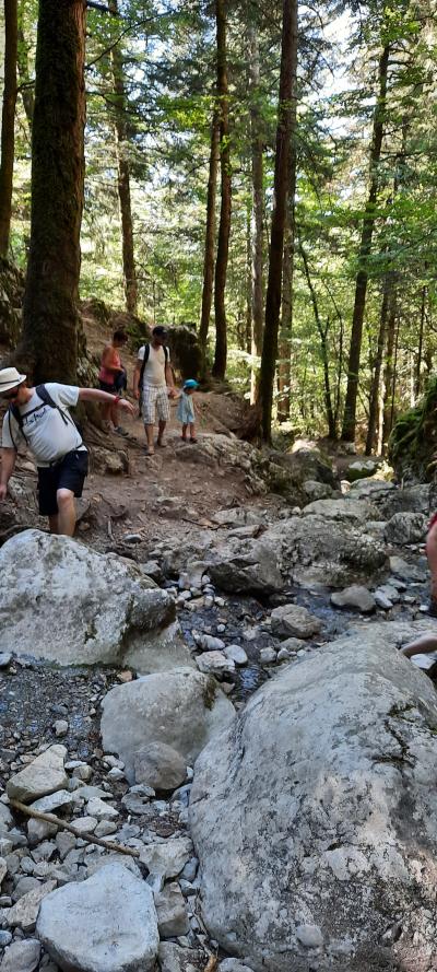 Visite de La Roche-sur-Foron et randonnée La boucle des cascades