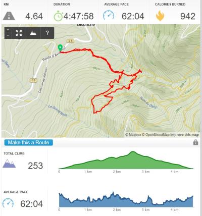Visite de La Roche-sur-Foron et randonnée La boucle des cascades