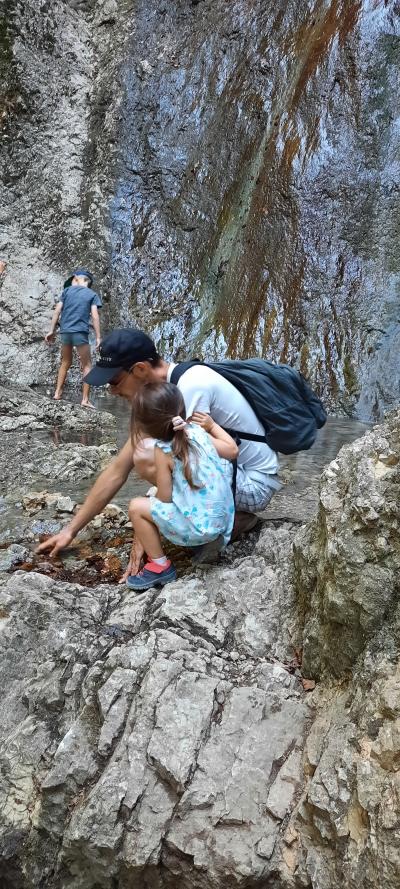 Visite de La Roche-sur-Foron et randonnée La boucle des cascades