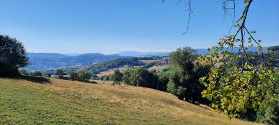 Visite de La Roche-sur-Foron et randonnée La boucle des cascades