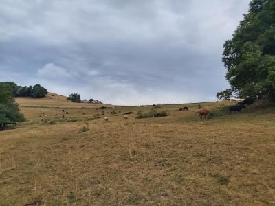 Allons voir le piton avant de partir pour d'autres aventures
