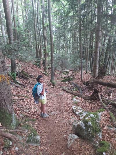 Allons voir le piton avant de partir pour d'autres aventures