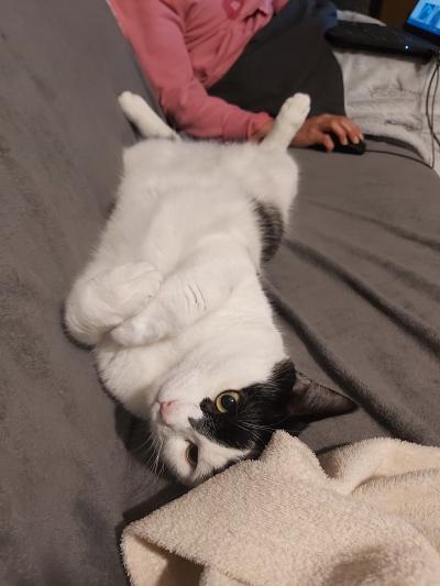 Séance "sauvetage" de Samuel qui c'est bloqué dans le sous sol du voisin partie en vacances pour 1 semaine