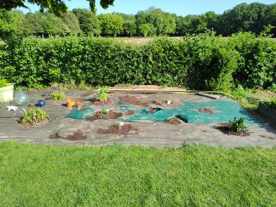 Ca y est la saison du jardin est de retour