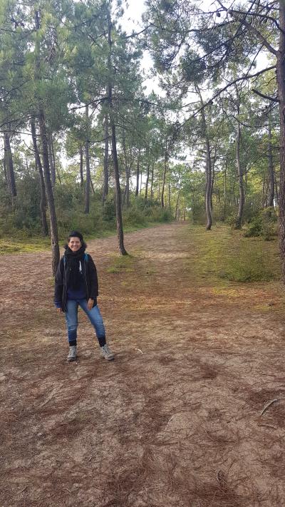 Randonnée en bord de mer