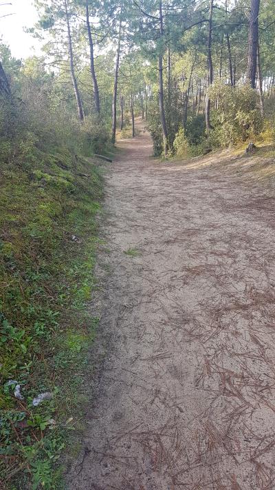Randonnée en bord de mer