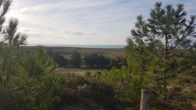 Randonnée en bord de mer