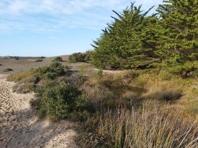 Randonnée en bord de mer