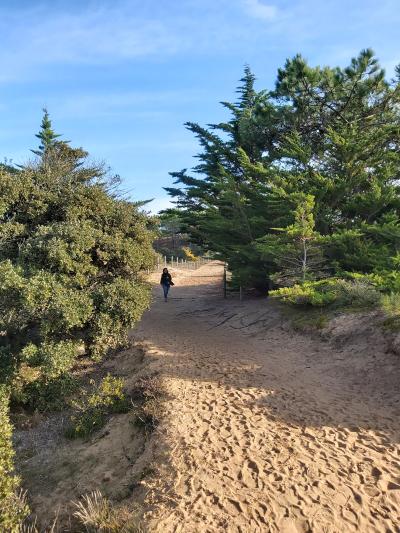 Randonnée en bord de mer