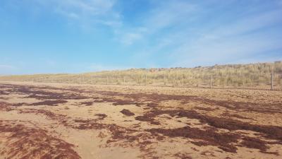 Randonnée en bord de mer