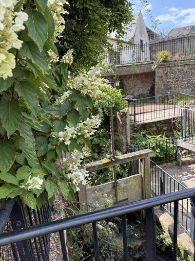 Honfleur avec les CHEMINEL