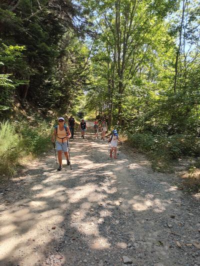 Saint bonnet le courreau