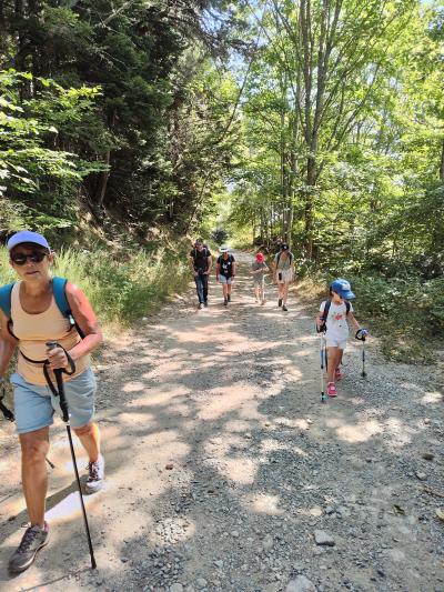 Saint bonnet le courreau